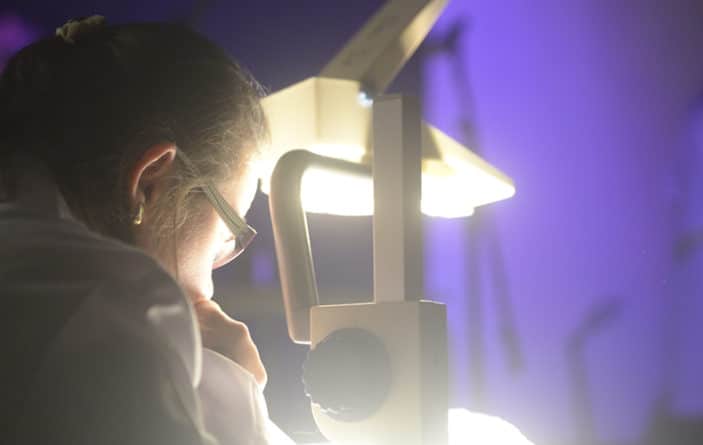 CDN - Naranja Imaginario en concierto